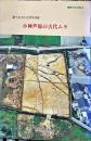 竜野の文化財 3
小神芦原の古代ムラ : 掘り出された律令村落
