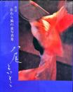 おわら風の盆写真集 : 八尾よいとこ 改訂