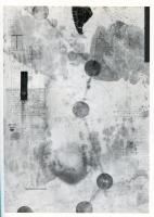 IGOR SACHAROW-ROSS