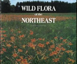 Wild Flora of the Northeast