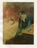 Picasso 　Hardcover