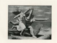 Picasso 　Hardcover
