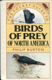 The Pocket Guide to Birds of Prey of North America