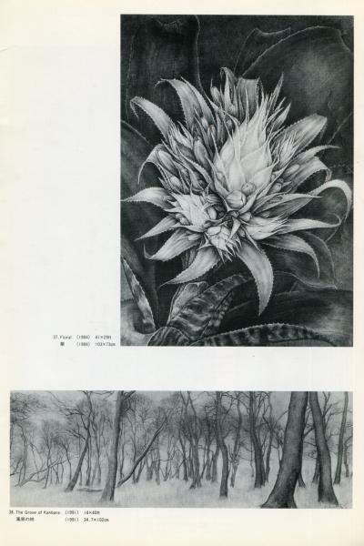 SUSUMU KINOSHITA PENCIL WORK1981〜1992 木下晋-鉛筆画の世界