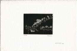 丹阿彌 丹波子 ＴＡＮＡＭＩ ＮＩＷＡＫＯ
銅板画　作品名：ゆきやなぎ　サイズ8.6ｘ5.2　E.A1/10