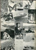 LEICA　E.LEITZ,INC.NEW YORK,N.Y.
For Booklet No.1244-3rd ED.