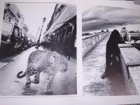 Egoiste No14 Tome 1  230F : Gerard Depardieu
