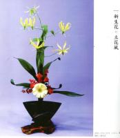 普段着のいけばな　佳生流雲華の小作集