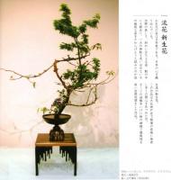 普段着のいけばな　佳生流雲華の小作集