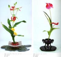 普段着のいけばな　佳生流雲華の小作集