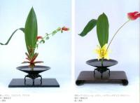 普段着のいけばな　佳生流雲華の小作集