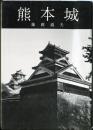 熊本城　美術文化シリーズ