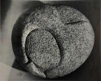 Die familie Giacometti. Das Tal, die Welt（独）ジャコメッティ一家族展図録