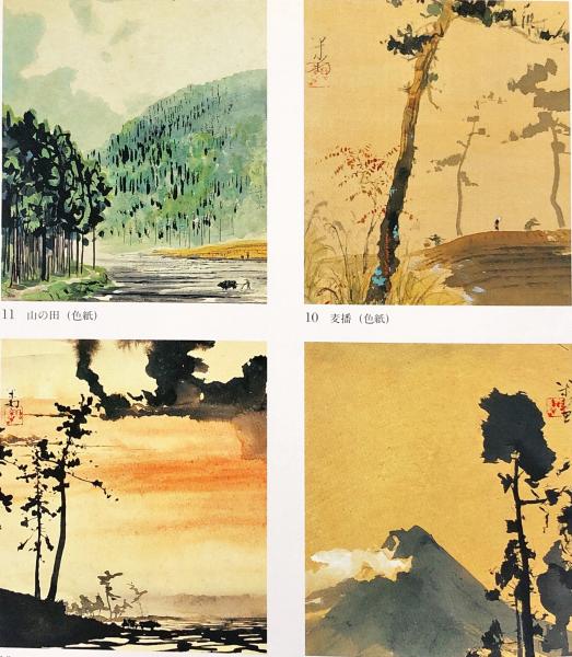 田中一村の世界 : 孤高・異端の日本画家 (田中一村 [画],NHK出版