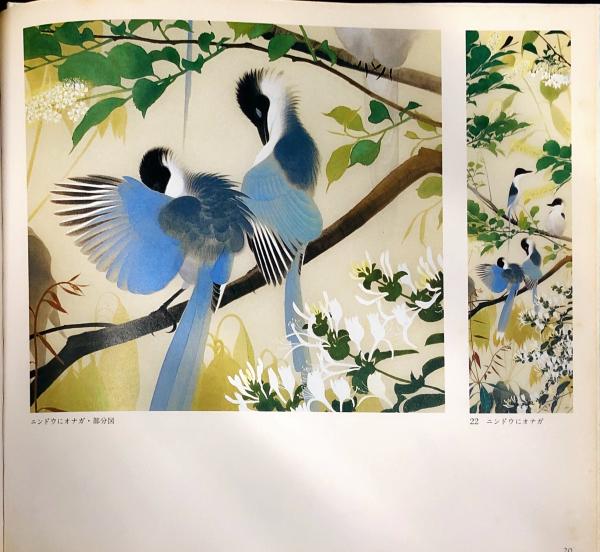 【図録・展示会カタログ】孤高・異端の日本画家 田中一村の世界 Amazon.co.jp: 孤高・異端の日本画家 田中一村の世界 : NHK出版: 本