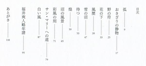 美しくて少し悲しい 福井爽人の絵 土岐美由紀 ハナ書房 古本 中古本 古書籍の通販は 日本の古本屋 日本の古本屋