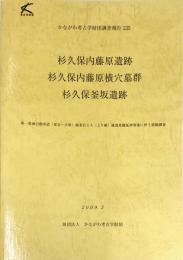 かながわ考古学財団調査報告 235