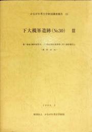 かながわ考古学財団調査報告　53/
下大槻峯遺跡（Ｎｏ．３０）Ⅲ : 第一東海自動車道厚木・大井松田間改築事業に伴う調査報告１１−秦野市内