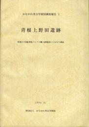 かながわ考古学財団調査報告　2
青根上野田遺跡