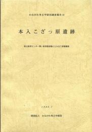 かながわ考古学財団調査報告　16
本入こざっぱら遺跡
