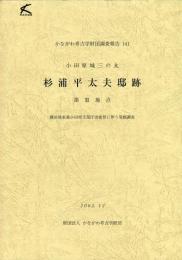 かながわ考古学財団調査報告　141
