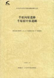 かながわ考古学財団調査報告　123