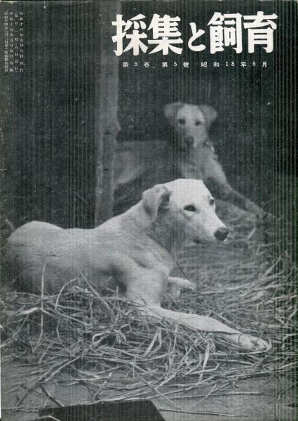 採集と飼育 Collecting And Breeding 5巻5号 目次画像あり 採集と飼育委員会 編 ハナ書房 古本 中古本 古書籍の通販は 日本の古本屋 日本の古本屋 採集と飼育 Collecting And Breeding 5巻5号 目次画像あり 採集と飼育委員会 編 ハナ書房 古本 中古本 古書籍の通販は 日本の古本屋 日本の古本屋