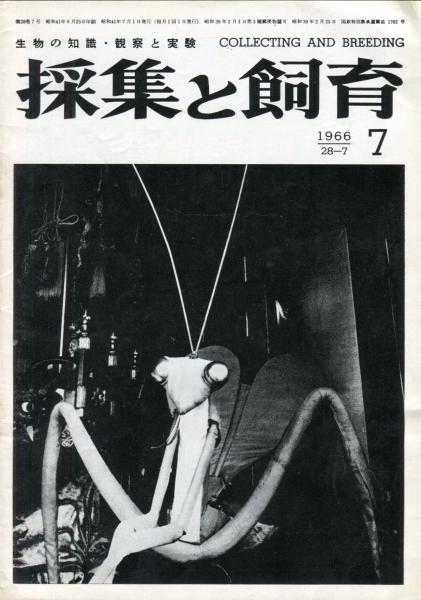 鄧散木印譜 第3集(鄧散木 著,北川博邦 編) / ハナ書房 / 古本