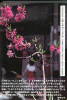 日本春景　伊丹三樹彦写俳集⑫