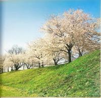 和久峻三写真集　日本の原風景