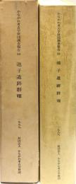 かながわ考古学財団調査報告　44
池子遺跡群 : 池子米軍家族住宅建設にともなう調査. ８