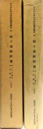 かながわ考古学財団調査報告　43