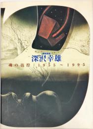 銅版画家　深沢幸雄展　魂の彷徨：１９５５〜１９９５