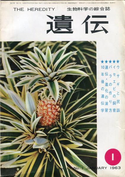 ☆鄧散木印譜6冊(第3～8集) 鄧散木 著,北川博邦 編 - 書道