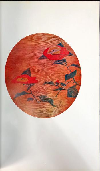 若冲天井絵 古本 中古本 古書籍の通販は 日本の古本屋 日本の古本屋