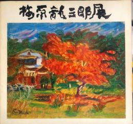 梅原龍三郎展 : 近代洋画の巨匠