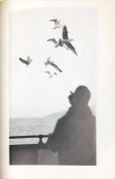 Matisse et Tahiti: Exposition, 4 juillet-30 septembre 1986 (Cahiers Henri Matisse) 　First Edition