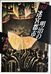 明治の迷宮都市―東京・大阪の遊楽空間 (イメージ・リーディング叢書)