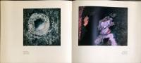 GORO SUGITA  MAN and CRANE PAINTINGS
