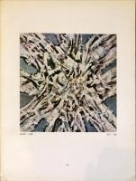  manessier , galerie de france janvier - avril 1970