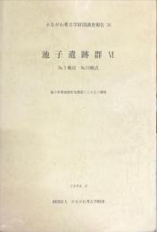 かながわ考古学財団調査報告　36　池子遺跡群 6　No.5地点・No.19地点