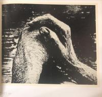 ヘンリー・ムア展 : 版画と彫刻　　　Henry Moore : graphic & sculpure