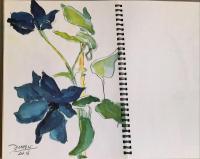 花が逃げる 土門拳の描いた花精