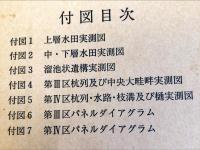 淡路・志知川沖田南遺跡　　兵庫県文化財調査報告書40冊