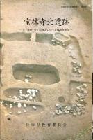 宝林寺北遺跡 : 太子龍野バイパス建設に伴う発掘調査報告　　兵庫県文化財調査報告書  第49冊