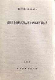 国指定史跡伊部南大窯跡発掘調査報告書 ＜備前市埋蔵文化財調査報告 8＞