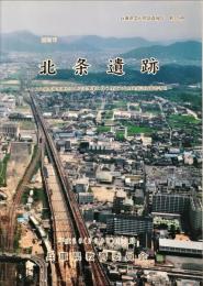 北条遺跡 : ＪＲ山陽本線等連続立体交差事業に伴う埋蔵文化財発掘調査報告書３　兵庫県文化財調査報告 第３２５冊