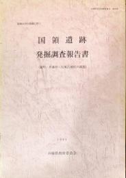 国領川河川改修に伴う国領遺跡発掘調査報告書 : 蓮町・井森杉・石風呂地区の調査　　　兵庫県文化財調査報告 第93冊