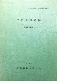 平尾金池遺跡発掘調査概報 ＜広陵町埋蔵文化財調査概報 5＞