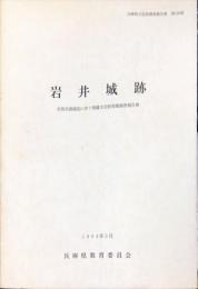 岩井城跡 ＜兵庫県文化財調査報告書 第130冊＞　	但馬空港建設に伴う埋蔵文化財発掘調査報告書